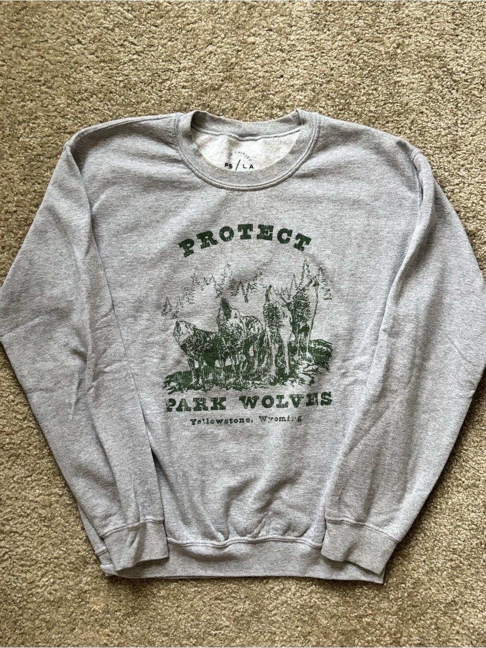 grey and green pacsun sweatshirt